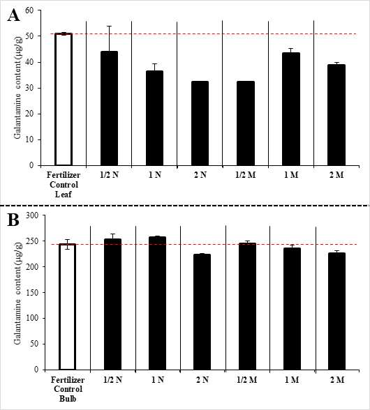 Galantamine contents of L. radiata treated with organic manure (A) and inorganic fertilizers (B)