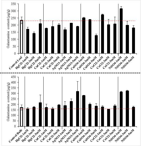 Galantamine contents of L. radiata treated with heavy metals (Mercury chloride(HgCl2), Copper(II) chloride(CuCl2), Silver nitrate(AgNO3), Copper sulfate(CuSO4), Cobalt(II) chloride(CoCl2), Nickel(II) sulfate(NiSO4))