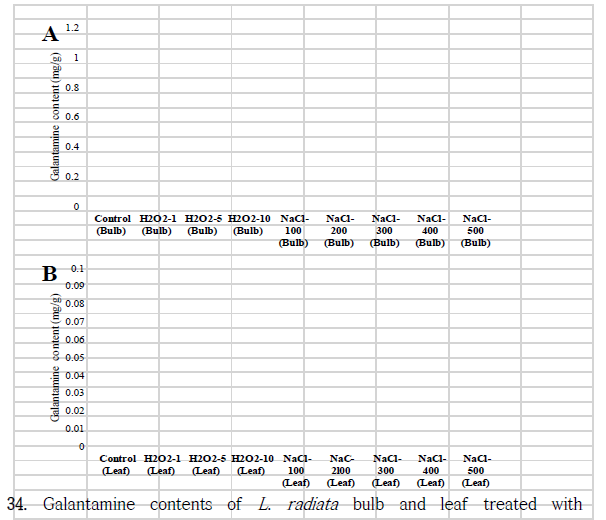 Galantamine contents of L. radiata bulb and leaf treated with hydrogen peroxide(H2O2) at 1, 5, and 10 mg/l and sodium chloride(NaCl) at 100, 200, 300, 400, and 500 mM