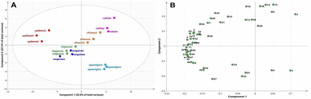 (A) Score plot; (B) loading plot of PCA derived from gas chromatography time-of-flight mass spectrometry (GC-TOFMS) metabolite profiles