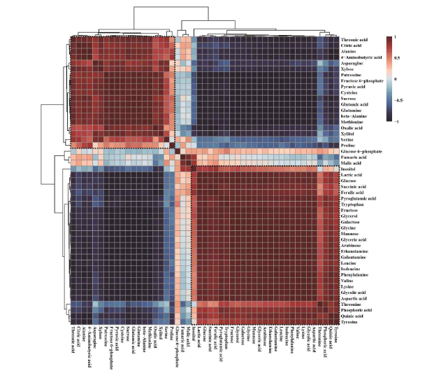 Correlation matrix and hierarchial cluster analysis of results obtained from data of 49 metabolites between calli exposed for 0 and 96 h. Each square shows the Pearson’s correlation coefficient for a pair of metabolites, and the value for the correlation coefficient is represented by the intensity of red or blue, as indicated on the color scale