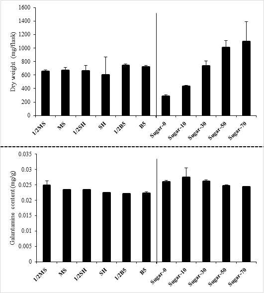 Galantamine contents of N. tazetta grown in 1/2MS, MS, 1/2SH, SH, 1/2B5, B5 and 1/2MS supplemented with sucrose at 0, 10, 30, 50, 70 g/L