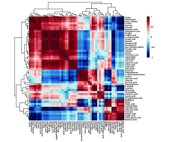 Correlation matrix and hierarchial cluster analysis of results obtained from data of 53 metabolites from shoot, root, and callus of N. tazetta. Each square shows the Pearson’s correlation coefficient for a pair of metabolites, and the value for the correlation coefficient is represented by the intensity of red or blue, as indicated on the color scale