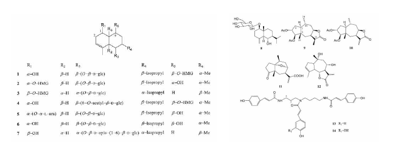 Structures of compounds isolated from A. artemisiifolia