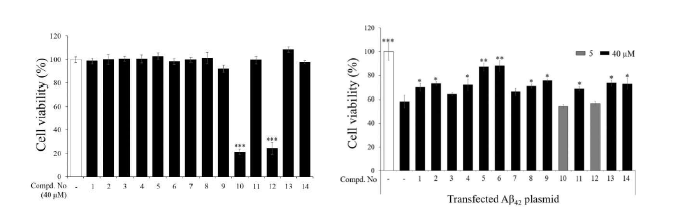14종 화합물에 대한 HT22 세포에서의 세포독성(좌) 및 Amyloid β 로 인해 유도된 세포독성의 보호효과(우)