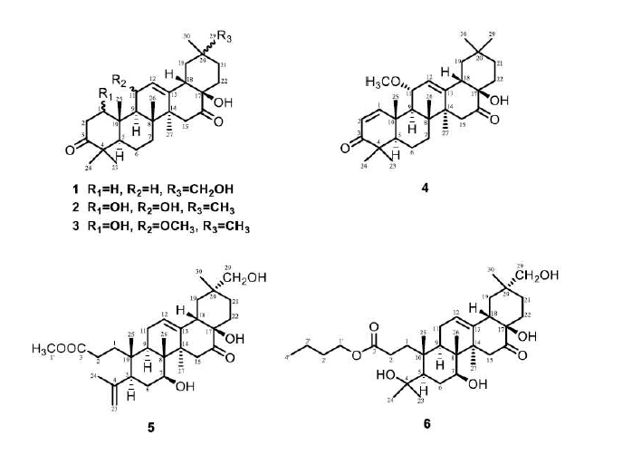 Structures of compounds (1-6) from C. japonica