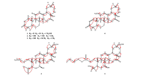 Key HMBC correlations of compounds 1-6