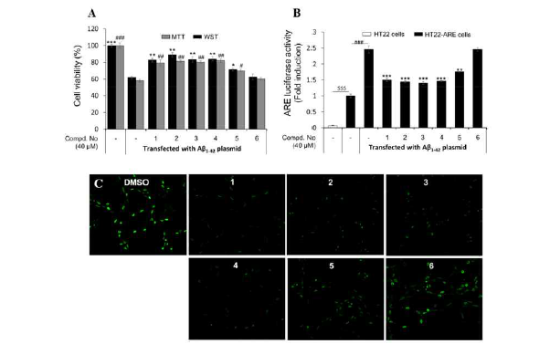 (A) Aβ1-42 plasmid transfection된 HT22 세포에서의 화합물 1-6의 신경보호효 과. (B) ARE 유전자 전사활성에 대한 화합물 1-6의 효과. (C) 화합물 1-6 처리에 따른 pEGFP-C1/Aβ1-42 plasmid transfection된 HT22 세포에서의 형광이미지