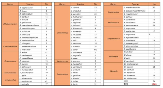 일반 유산균 확보 현황