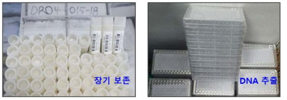 유산균 자원 장기보존과 genomic DNA 확보 보관