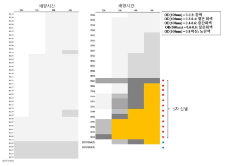 모유올리고당 이용 우수 균주 1차 선별 결과