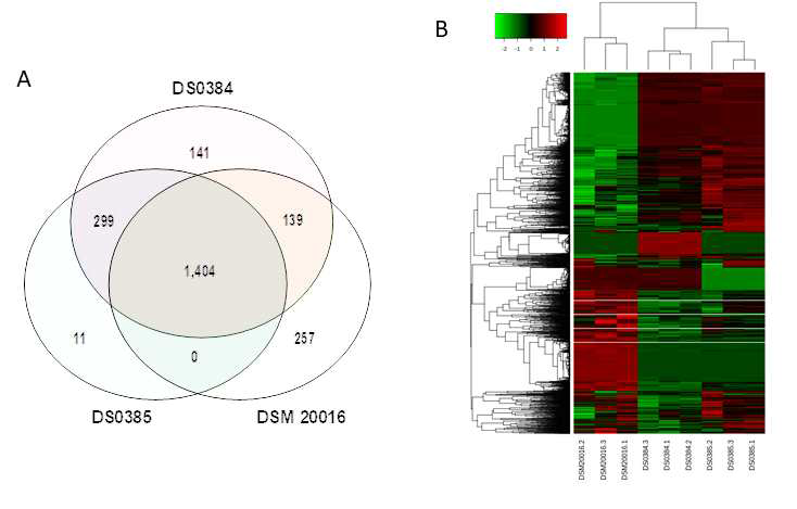 Orthlogous gene groups의 벤 다이어그램 (A)과 Heat map (B). Heat map showing the normalized transcript abundances of 2,251 orthologs of 9 datasets and unsupervised clustering results