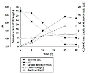 Bifidobacterium longum HN001 균주의 발효조 5L batch 배양