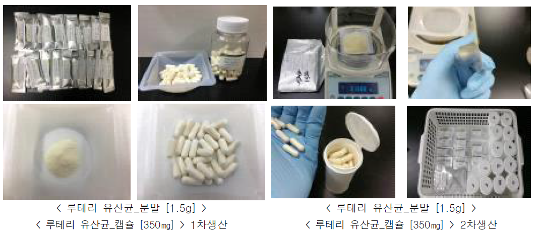 루테리 유산균 시작품(분말/캡슐)