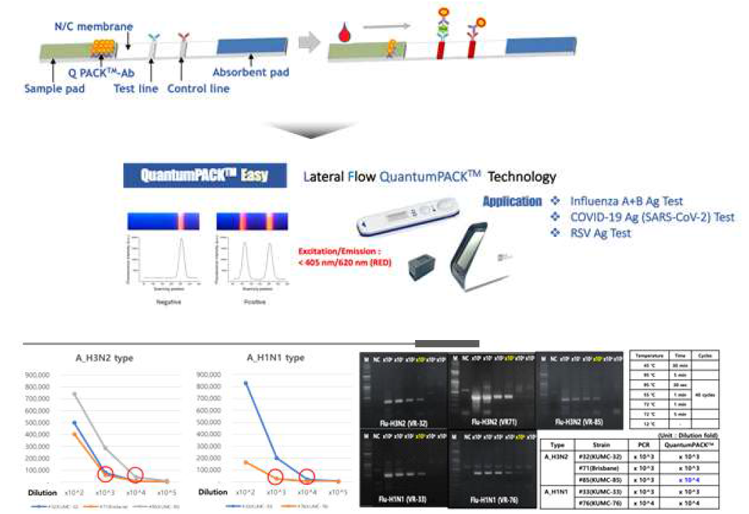 다중 양자점 기반의 Lateral Flow QuantumPACK 소개