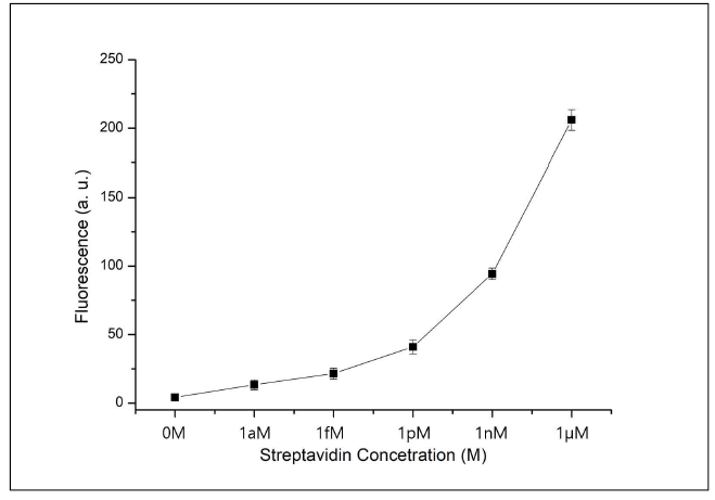 생체분자로 streptavidin, 항체로 biotin을 이용하여 생체분자 검출 시스템 가능성 확인 실험 결과