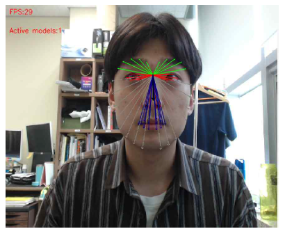 얼굴 비대칭성을 측정하는 알고리즘 설명 예시