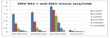 anti-ZIKV 항체의 반응성