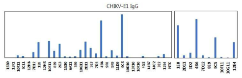 specific IgG-ELISA