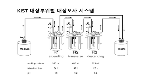 KIST 3-stage 대장모사시스템 구축