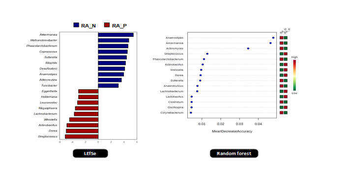 LEfSe와 Random forest를 이용한 RA 그룹 간 장내미생물 연관성 분석