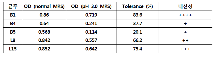 유효균주의 내산성 평가 결과