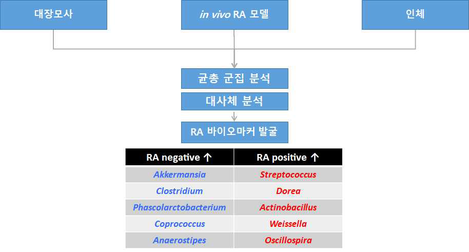 RA 특이적 장내미생물 마커 선발 현황