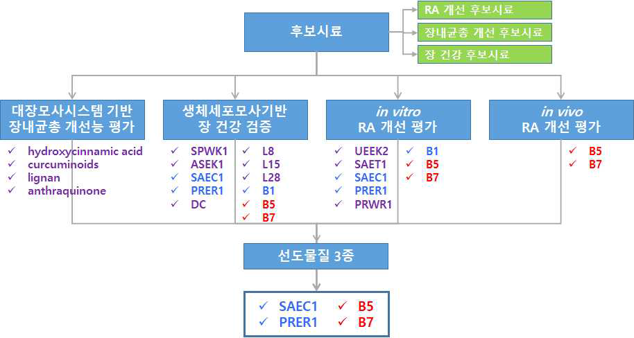 RA 개선 천연물 선도물질 발굴 현황