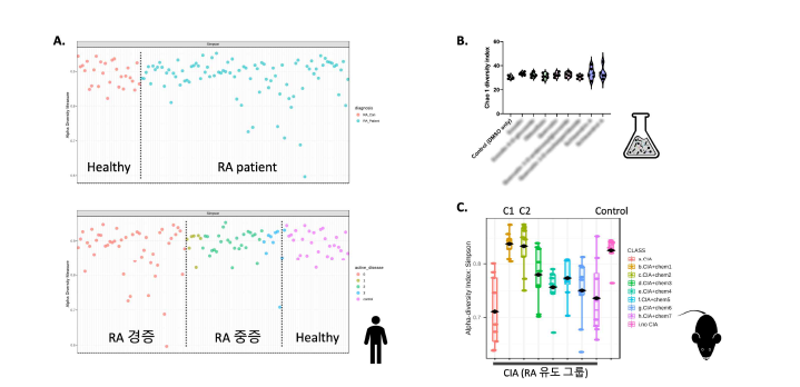 RA 연구 모델별 미생물 다양성(alpha-diversity) 분석. RA 인체 대변시료 연구(A), in vitro 장내미생물 혼합배양(B), in vivo CIA 마우스 모델에서의 미생물 다양성 분석 결과