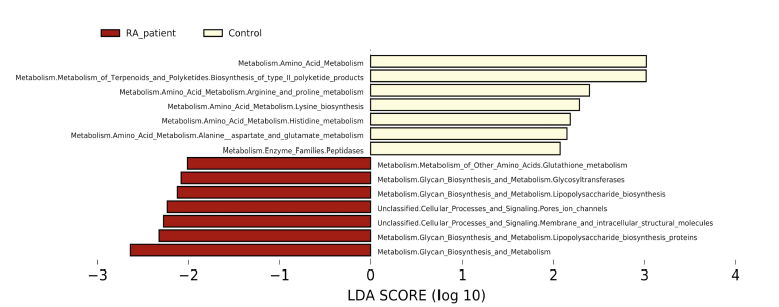 PICRUSt 분석을 통한 RA 환자군으로부터 RA 특이적 장내 메타지놈 예측 결과 LEfSe를 통해 유의적인 대사경로를 확인 (human disease, organismal systems 관련 경로는 제거 후 분석)