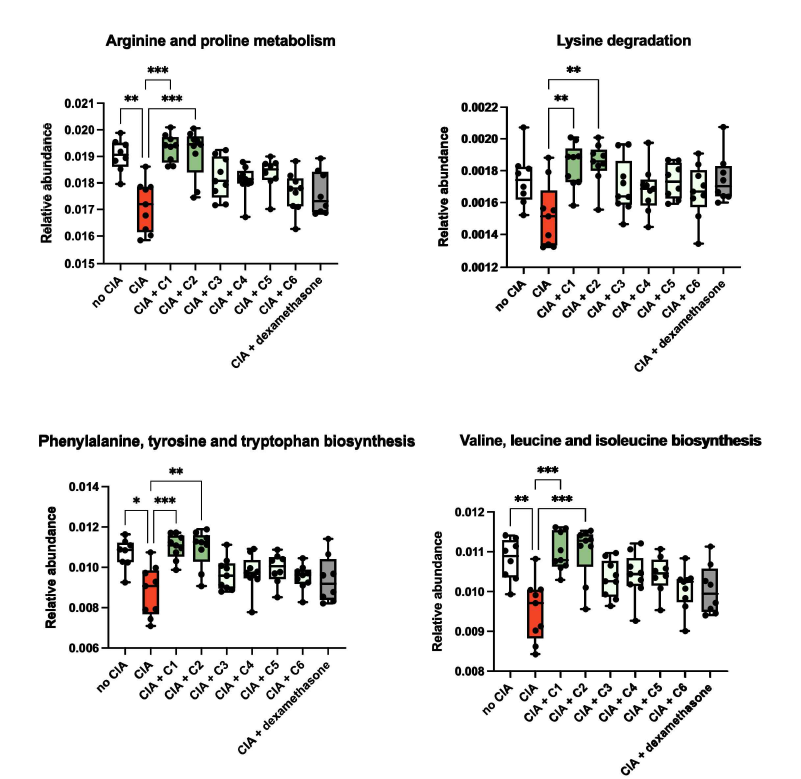 in vivo CIA-induced 마우스 모델에서 후보소재 C1-C6 처리에 의한 장내 주요 아미노산 대사 변화 분석. CIA 처리 시 감소되었던 기능성이 C1, C2에 의해 유의적으로 회복됨을 확인할 수 있음 (호스트에 직접적으로 작용하는 대표적인 항염증 약물인 dexamethasone을 비교물질로 함께 실험)