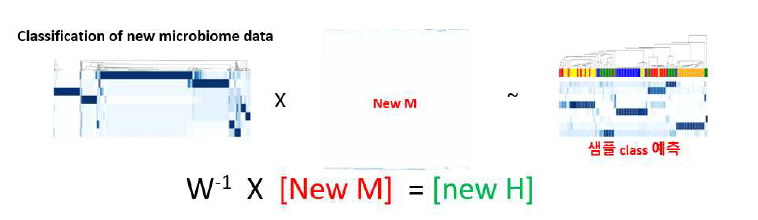 NMF를 방법을 이용한 새로운 마이크로비옴 데이터에 대한 예측 개념도