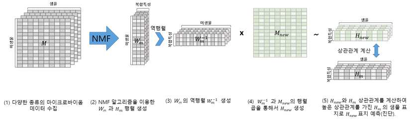 NMF를 응용한 새로운 마이크로바이옴 데이터 예측 파이프라인 개념도