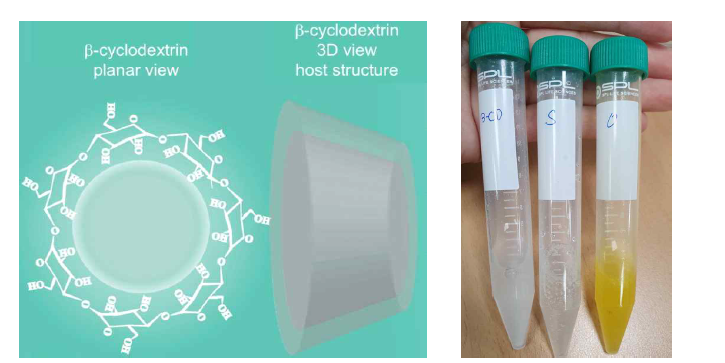 beta-cyclodextrin의 구조적 특징(좌)과 증류수에 용해된 schisandrol A와 obtusifolin의 모습 (우)