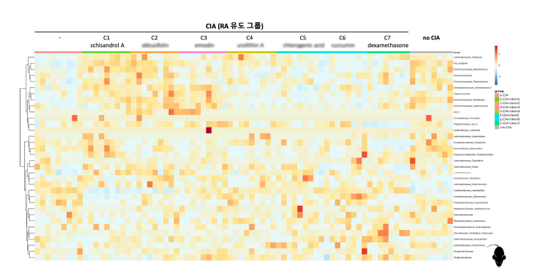 CIA 마우스 모델에서 후보소재 처리에 따른 미생물 genus 변화 heatmap