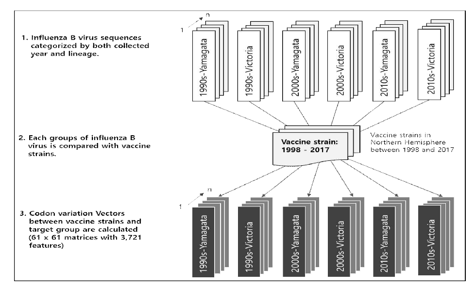 기계학습 적용을 위한 인플루엔자 바이러스 백신주-유행주 간 변이벡터 생성모식도
