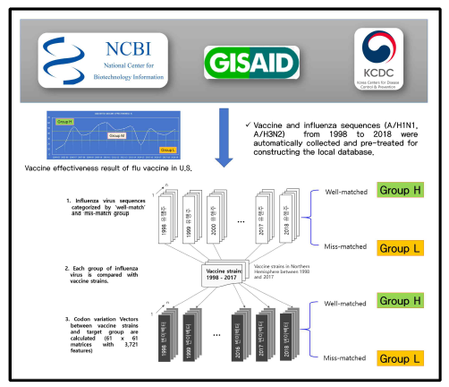 인플루엔자바이러스 백신주의 백신 effectiveness 예측모델 개발을 위한 분석 파이프라인 모식도