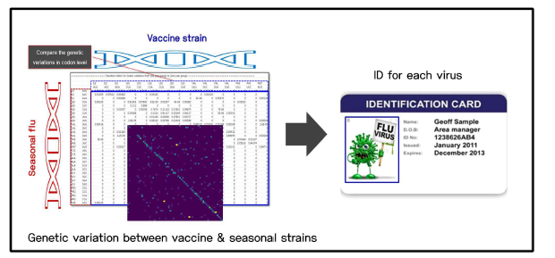 딥러닝 분석을 위한 백신주-유행주 간 변이 matrix 이미지 생성 모식도