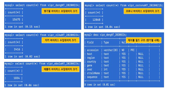 ViPR 제공 뎅기열, 코로나, 지카 및 에볼라 유전체데이터 2차 DB 생성화면