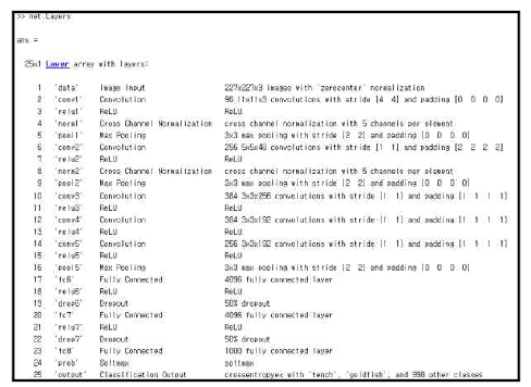AlexNet 모델의 다층 layer 구성도
