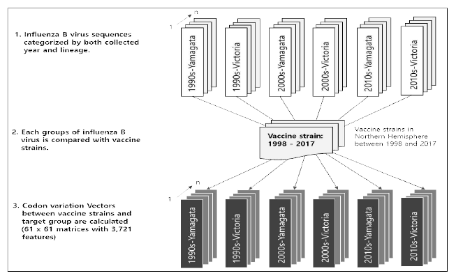 기계학습 적용을 위한 인플루엔자 바이러스 백신주-유행주 간 변이벡터 생성모식도