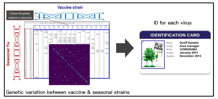 딥러닝 분석을 위한 백신주-유행주 간 변이 matrix 이미지 생성 모식도