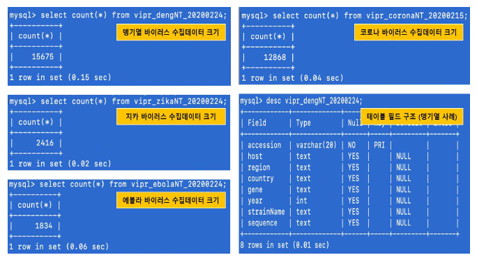 ViPR 제공 뎅기열, 코로나, 지카 및 에볼라 유전체데이터 2차 DB 생성화면