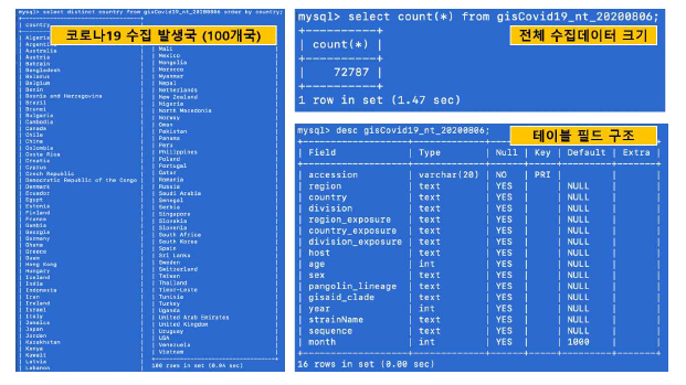 GISAID 제공 코로나19 (SARS-CoV-2) 유전체데이터 2차 DB 생성화면