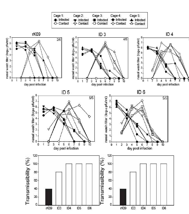 rK09, ID-3, 4, 5, 6 바이러스의 전파능력 그래프