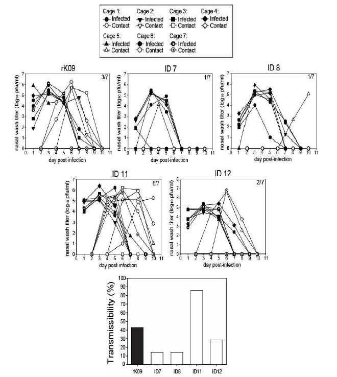 rK09, ID-7, 8, 11, 12 바이러스의 전파능력 그래프