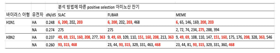 인플루엔자 바이러스의 사람 간 전파에서 확인된 positive selection pressure 잔기