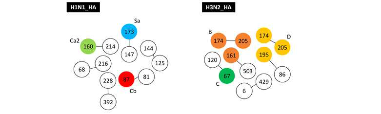 H1N1, H3N2 바이러스 HA 아미노산 잔기 간의 co-evolution 예측 분석