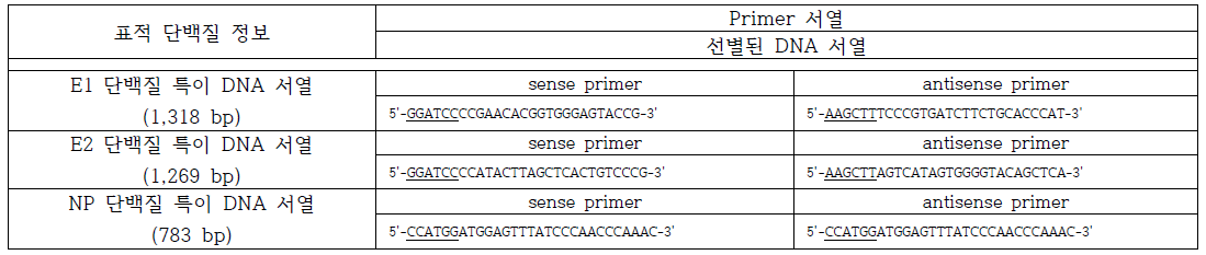 Chikungunya 전체 DNA 서열 중, E1, E2, NP 지역을 특이적으로 선별하는 primer 서열