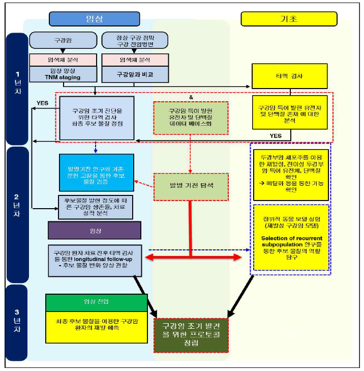 재발성 구강암의 조기 발견을 전략 개요